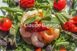 Claude BIGEON - Claude Bigeon